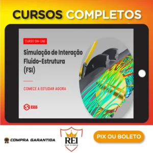 Curso de Simulação de Interação Fluído-Estrutura - Iesss