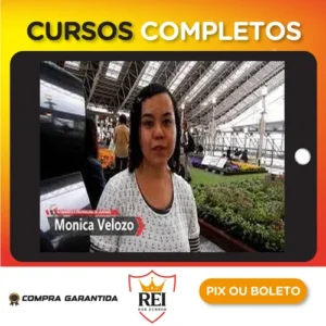 Japonês Básico: Escreva em Japonês - Monica Velozo