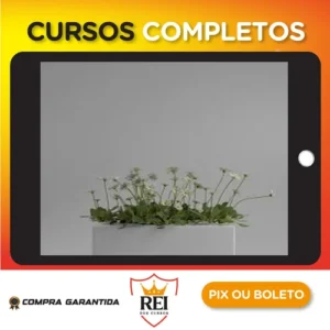 Shading no Blender para Iniciantes - Rafael Vallaperde